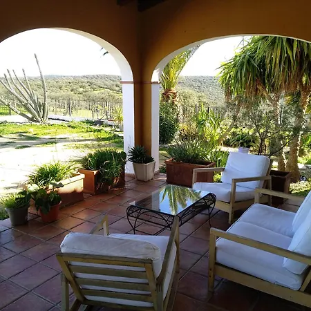 La Cabra Del Medio *